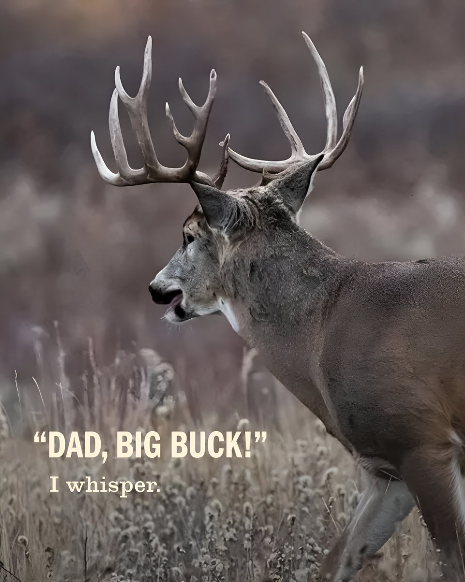 FieldandStream's tweet photo. You never forget your first buck, especially when there’s a surprise waiting for you in the WMA parking lot.
Read the full story - https://t.co/ND6SRvcARO 🦌
#TheLegendLives #MyFirstBuck #DeerHunting https://t.co/8LItewkp8g