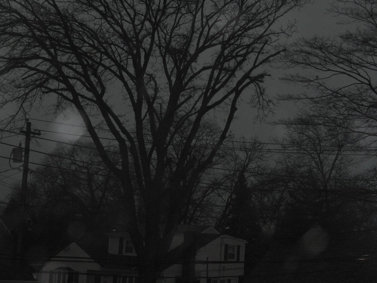 vin (@02void) on Twitter photo 