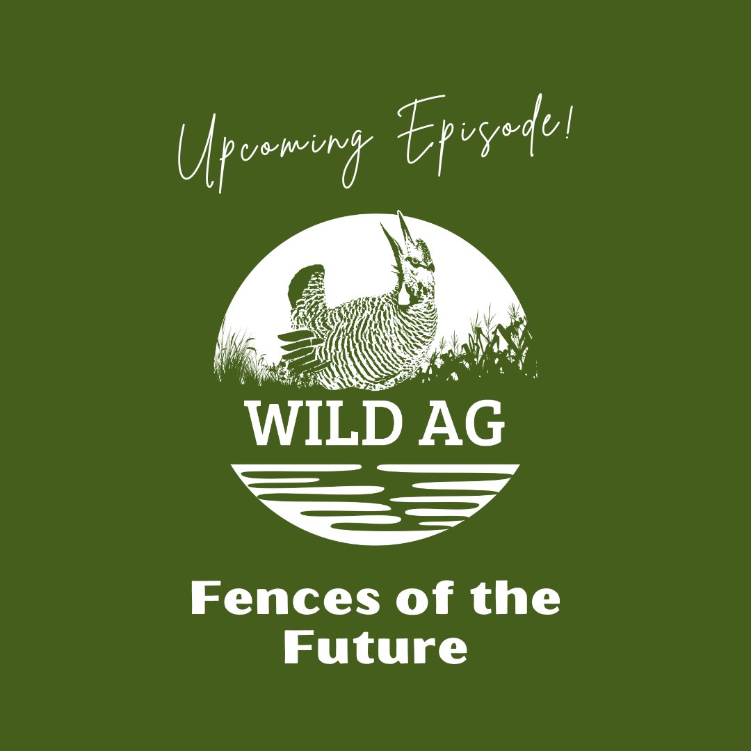 Applied Wildlife Ecology & Spatial Movement Lab tweet media