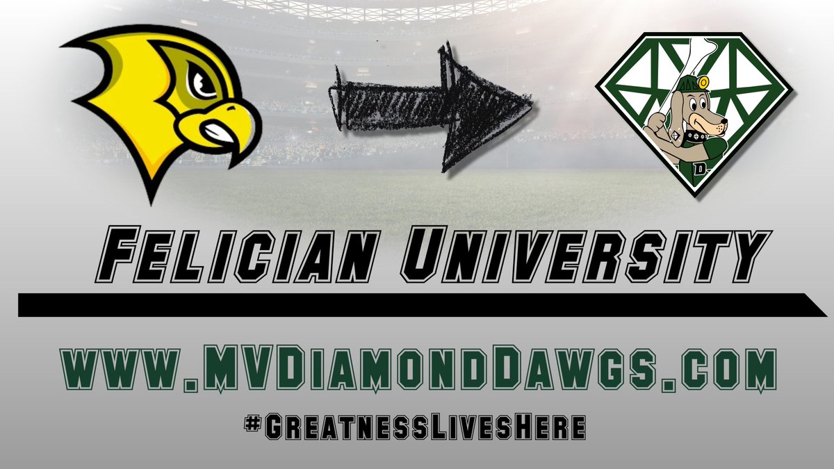 DiamondDawgsBaseball tweet media