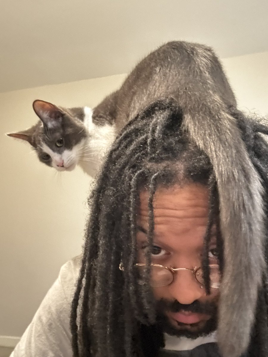 camnstuff's tweet photo. Hey y'all, we are looking for our cat Chucho that got out this morning (11/25). He's about 2 years old and weighs about 15 pounds. If you see him, please DM me or contact (956)569-9255. Thank you ❣️ https://t.co/rFdXZDFjMf