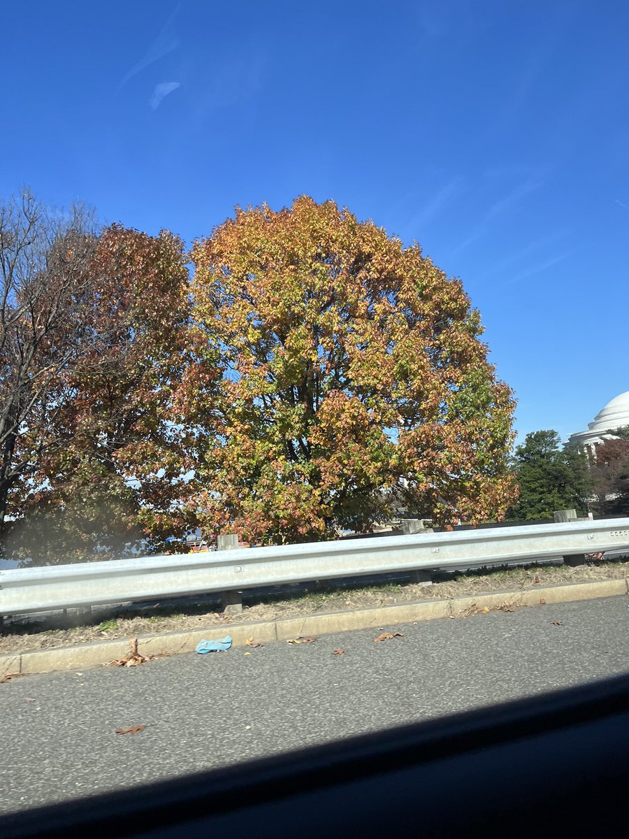 Analisa Packham tweet media