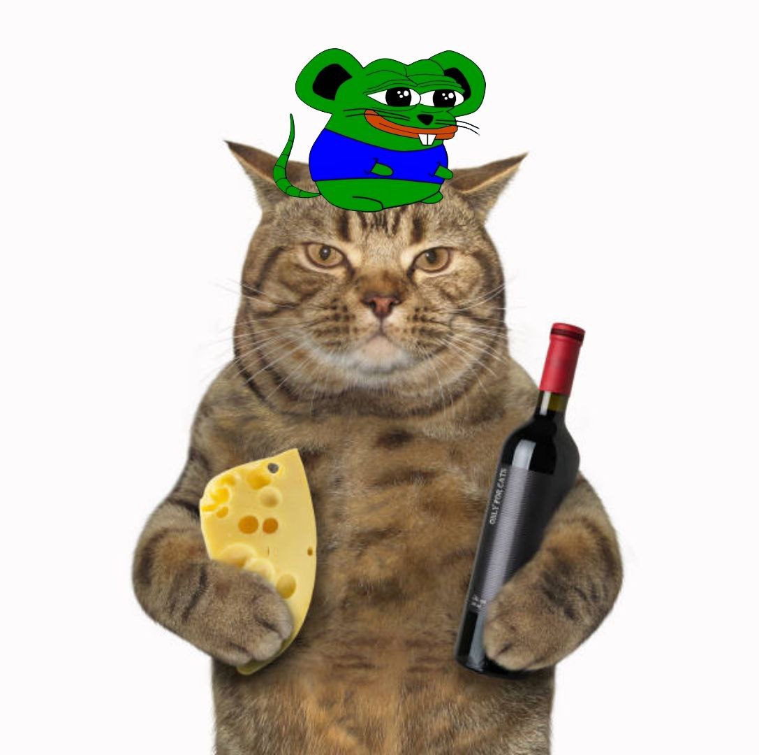 larsie117's tweet photo. @krakenfx You know what improves the more you HODL it? $CHEESE The question is, why aren't YOU HODLing it on your exchange? https://t.co/05PII4vSOr