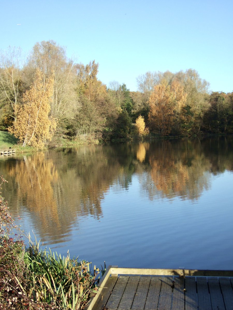 beachrambler's tweet image. #TECKNET #Autumn #Giveaway  I love walking in the park