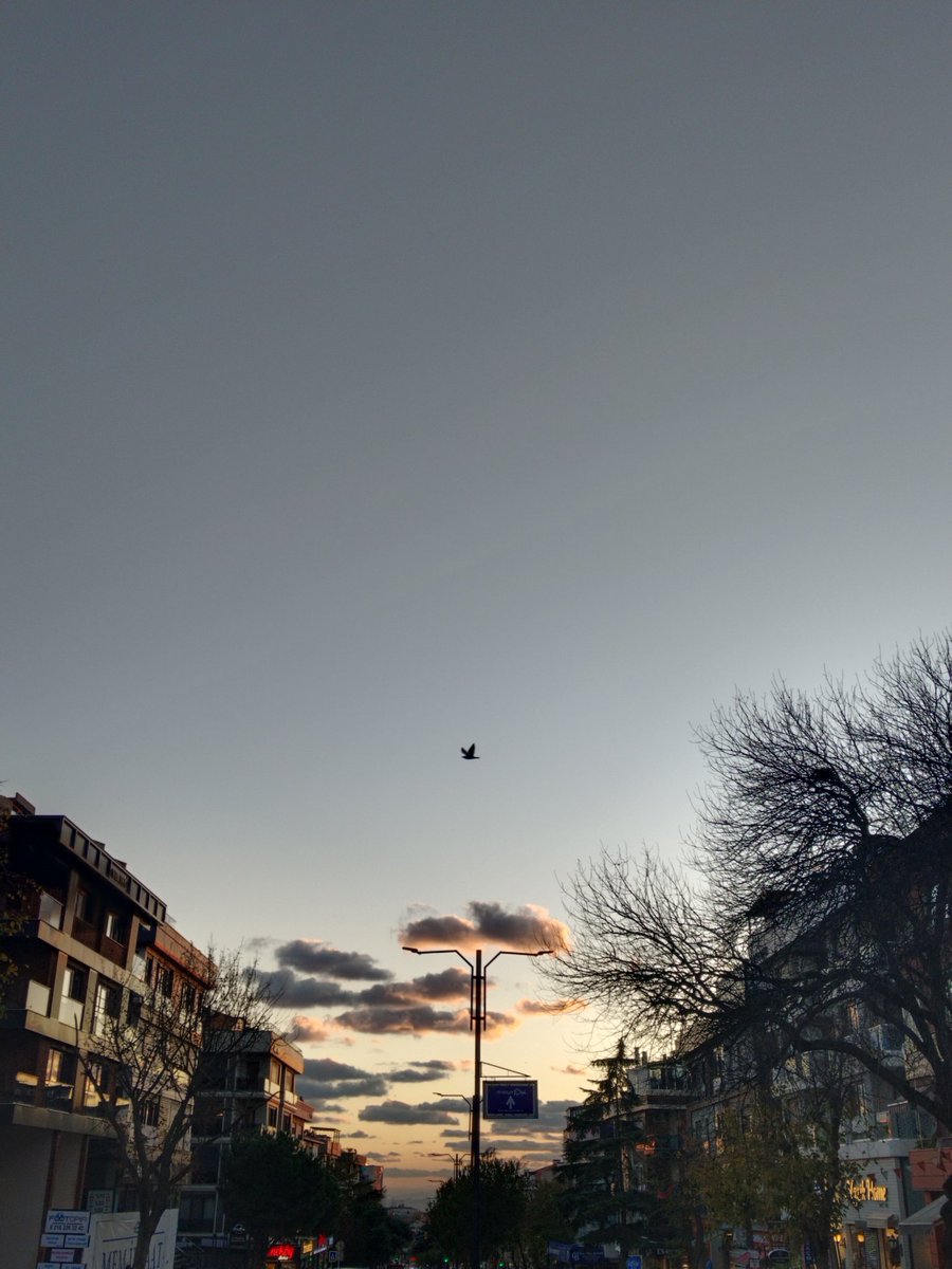 Suat Kardaş (@suatkardas) on Twitter photo 