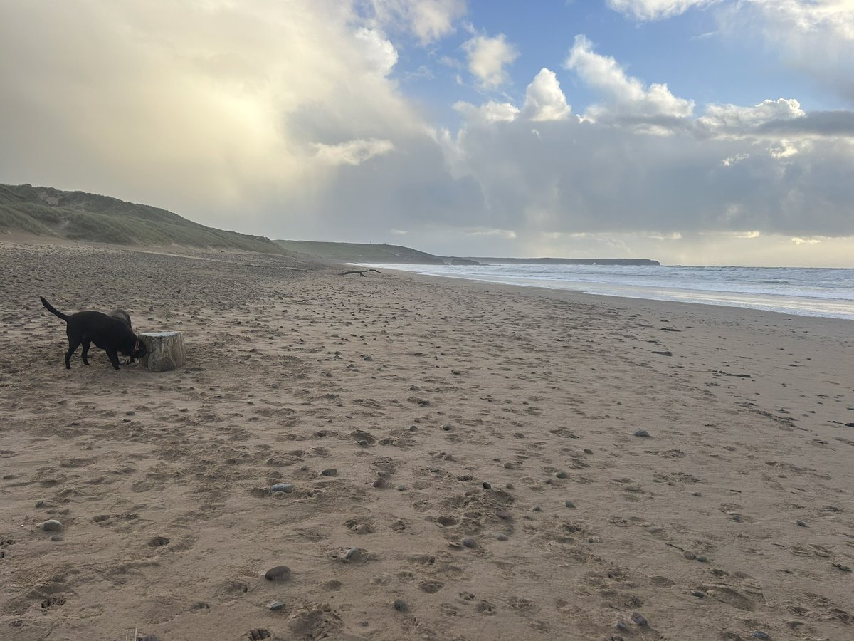 #freshwaterwest #pembrokeshire this afternoon. I risked it and walked all around before the storm made land, glad I was in the car before the hail and rain landed! Dogs just wanted food 😂