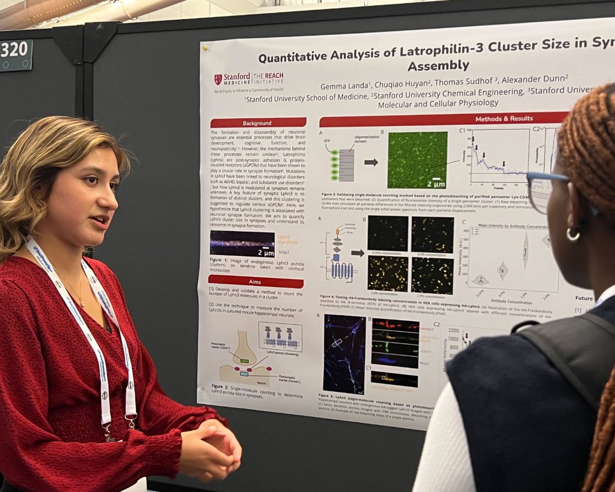 StanfordReach's tweet image. Proud program moment! ☺️ We had so many postbacs presenting this year at @abrcms. Great job team!
.
.
.
#postbacjourney #StanfordREACH #pathwayprogram