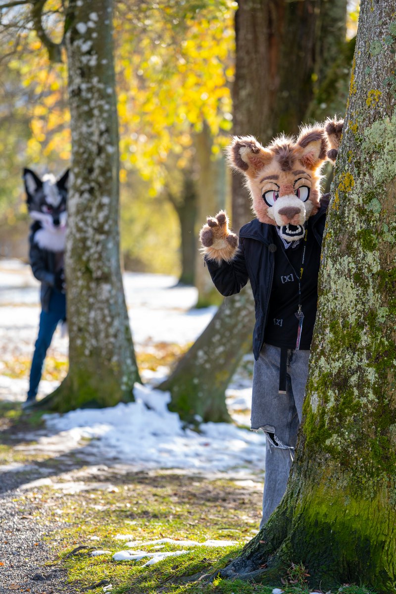 Orr_Tastic's tweet photo. Didn't realize it was hunting season just yet #fursuit #FursuitEverday https://t.co/nb0q8l4kyh