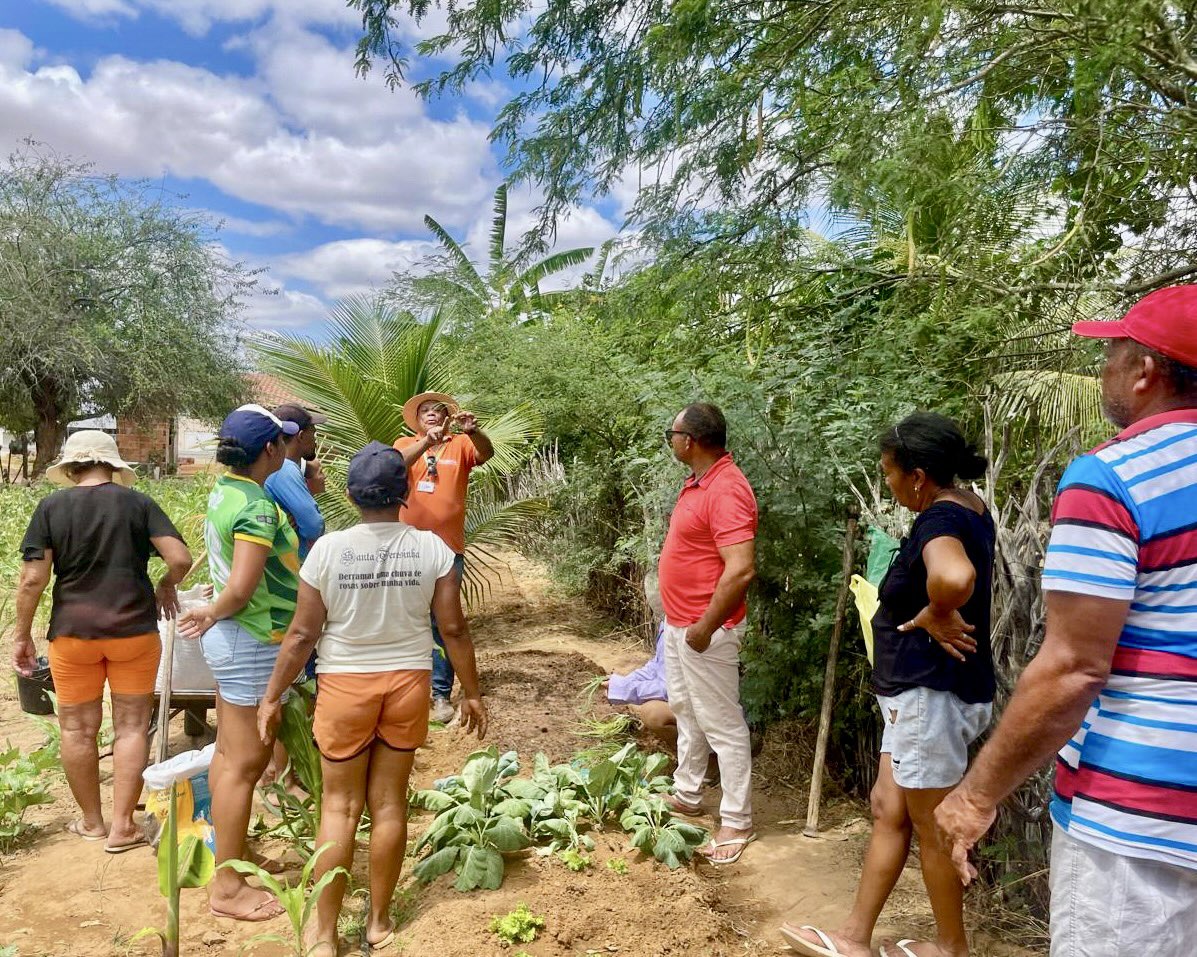 HPPBrasil's tweet photo. Na comunidade de Cajueiro, em Tucano-BA, realizamos um mutirão para preparar canteiros e incentivar práticas de horticultura sustentável. Essa é mais uma ação do nosso Projeto Caatinga Sustentável em parceria com a Humana People to People. 🌳✨ https://t.co/EG0PL0T5ca