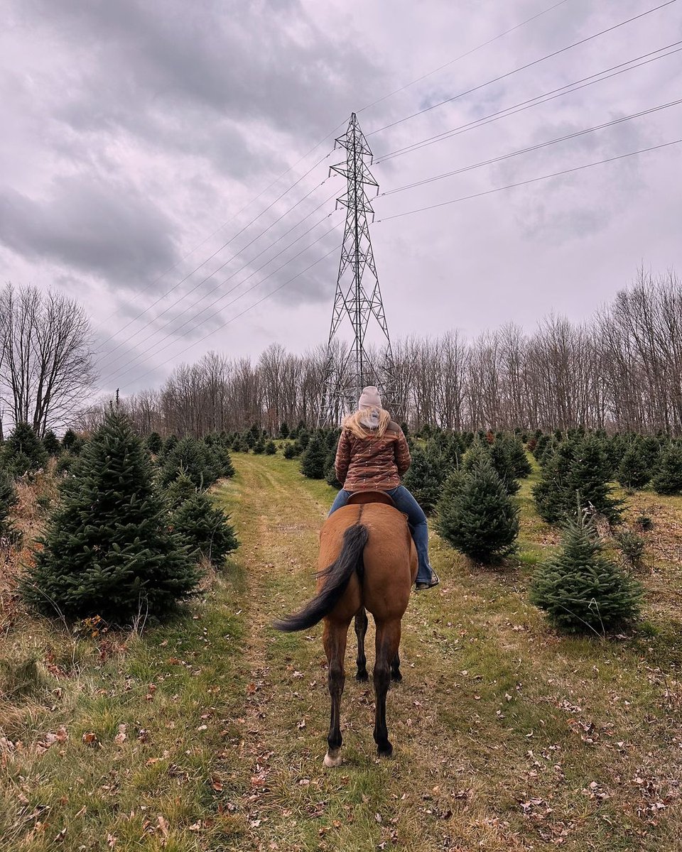 Ariat's tweet image. Fall trail ride goals. #Regram #Ariat

PC: Morgan Passmore
