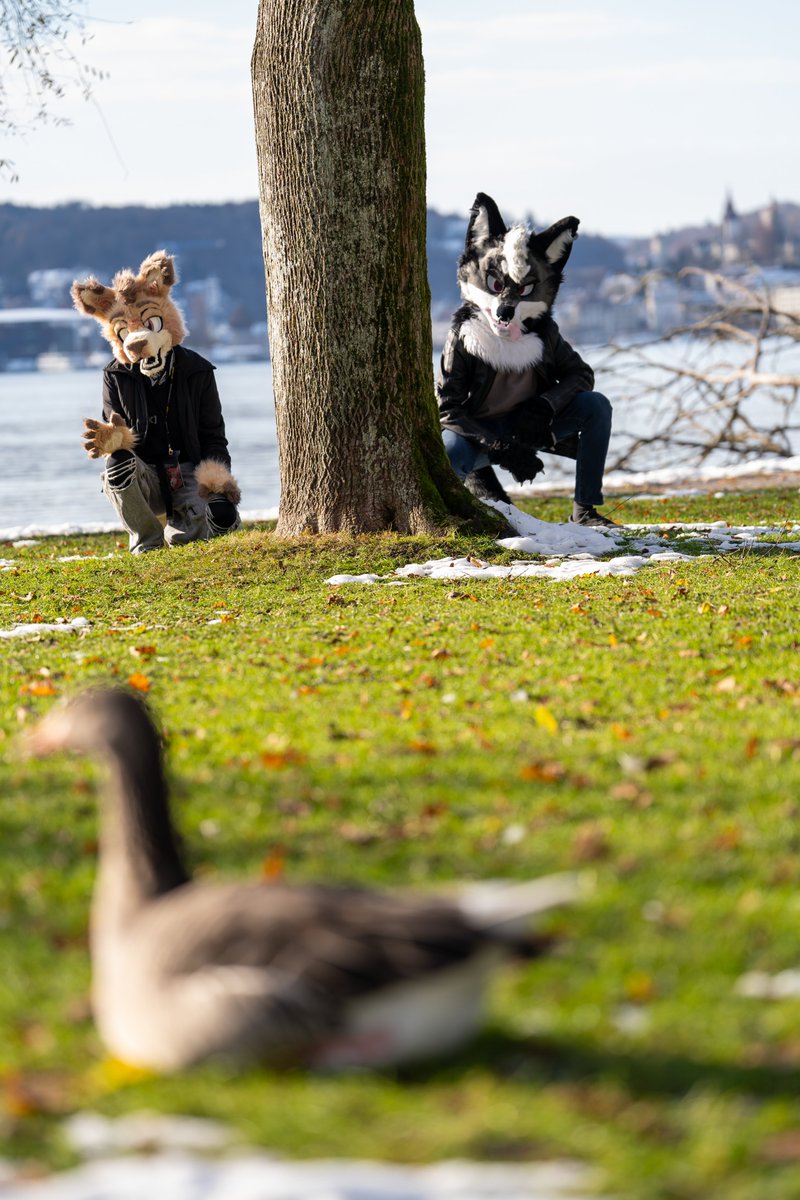 Orr_Tastic's tweet photo. Didn't realize it was hunting season just yet #fursuit #FursuitEverday https://t.co/nb0q8l4kyh