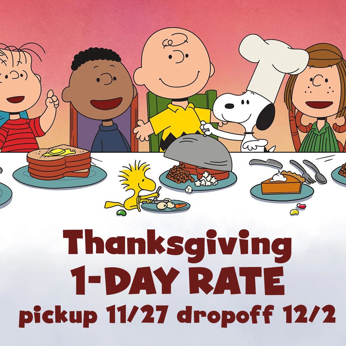 Camera Ambassador tweet media