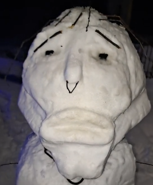 MEWING SNOWMAN tweet media