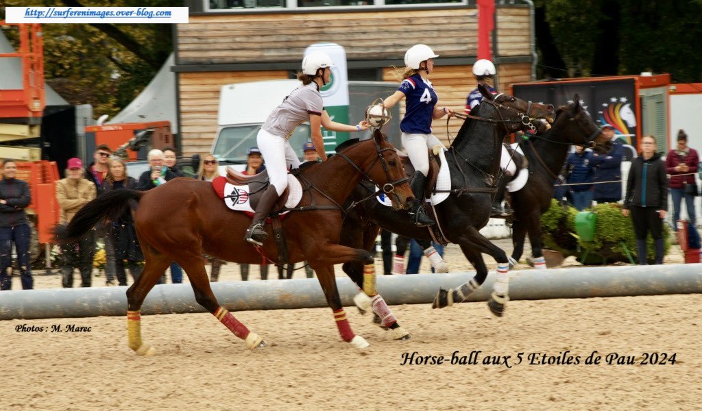 #Photo sur surferenimages.over-blog.com/2024/11/horse-… #horseball #sport #nouvelleaquitaine