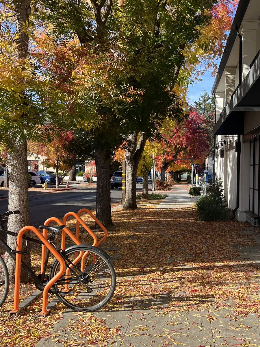 Autumn is in full swing, and the view from our TSVC office is unbe-LEAF-able!🍁
#LosAltos #California #Autumn #TSVC #ImmigrantFoundersFTW