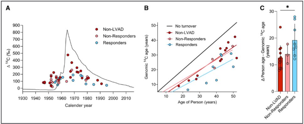 Circulation (@circaha) on Twitter photo Patients with LVAD demonstrate substantial cardiomyocyte regeneration, highlighting a potential therapeutic avenue @frisenjonas <a href="/Joseph_Taleb/">Joseph Taleb</a> <a href="/SJovinge/">Stefan Jovinge</a> <a href="/ThirupuraShank1/">Thirupura Shankar</a> <a href="/CPKyriakopoulos/">Christos P. Kyriakopoulos</a> @mandra <a href="/oibergmann/">Olaf Bergmann</a> ahajournals.org/doi/abs/10.116⦠Patients with LVAD demonstrate substantial cardiomyocyte regeneration, highlighting a potential therapeutic avenue @frisenjonas <a href="/Joseph_Taleb/">Joseph Taleb</a> <a href="/SJovinge/">Stefan Jovinge</a> <a href="/ThirupuraShank1/">Thirupura Shankar</a> <a href="/CPKyriakopoulos/">Christos P. Kyriakopoulos</a> @mandra <a href="/oibergmann/">Olaf Bergmann</a> ahajournals.org/doi/abs/10.116ā¦