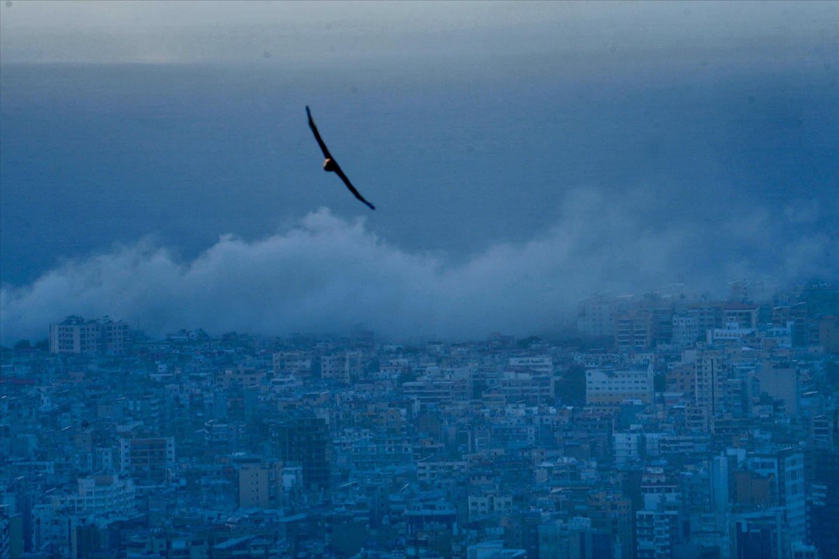 الضاحية الجنوبية لبيروت 
Photo:Hussein Baydoun