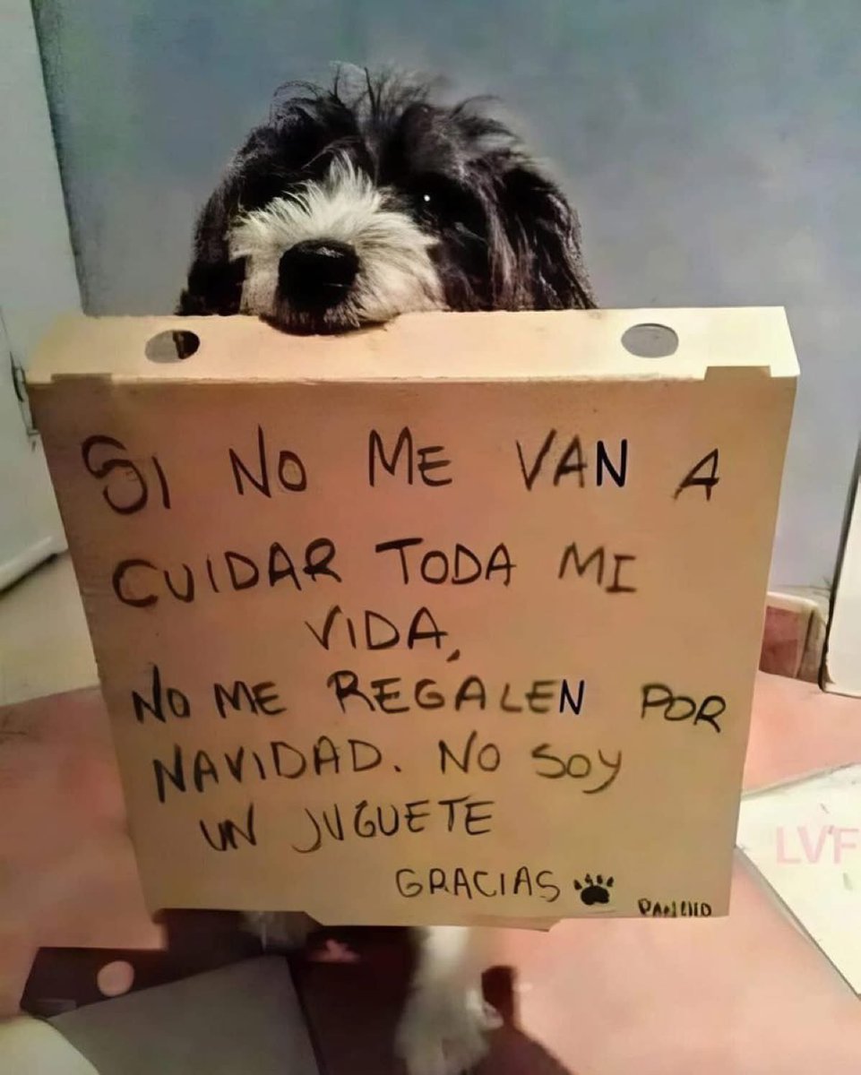 Por favor no regalen mascotas en Navidad a menos que la persona pueda asumir la responsabilidad de cuidarla.  Una mascota es un compromiso.