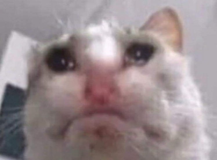 Alephium Insights ℵ tweet media