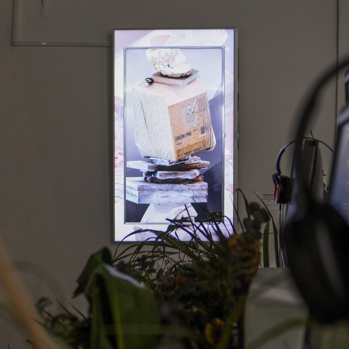 Dev Harlan tweet media