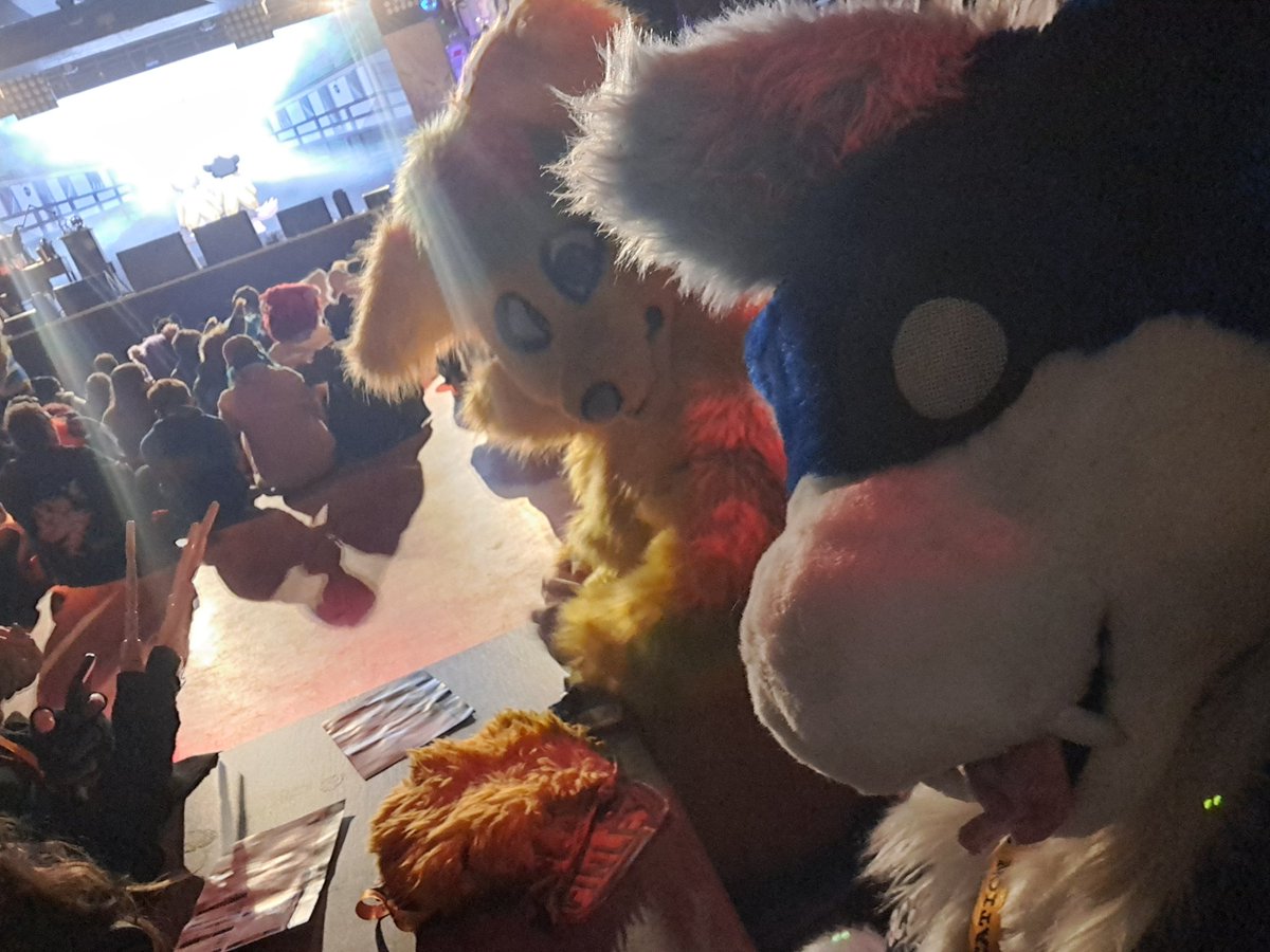 Static_Alfie's tweet photo. Had an fun time at @Furcationevent. Even with the rain and oceans for roads, Alfie still got a little time to cause mischief. Here's to Next year! https://t.co/geaUazTK2i