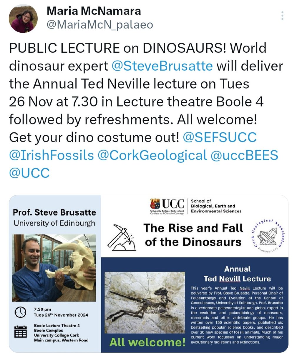 🌊 Cork Coast (@corkcoast) on Twitter photo #dinosaurs 26Nov #ucc #cga #dinosaurs 26Nov #ucc #cga