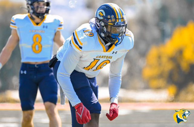 Can all rush the passer &amp; drop in coverage