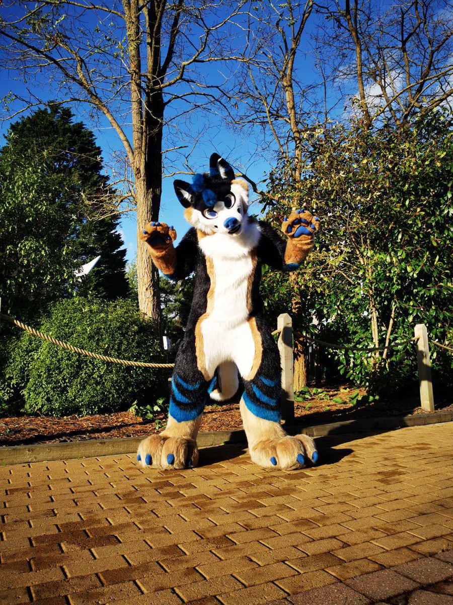 Mexxhusky's tweet photo. last day on furcation https://t.co/cD6KHIQGhc