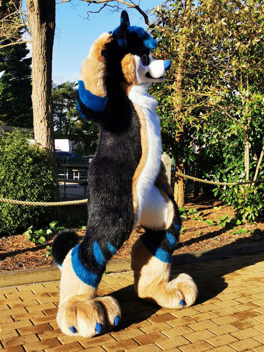 Mexxhusky's tweet photo. last day on furcation https://t.co/cD6KHIQGhc