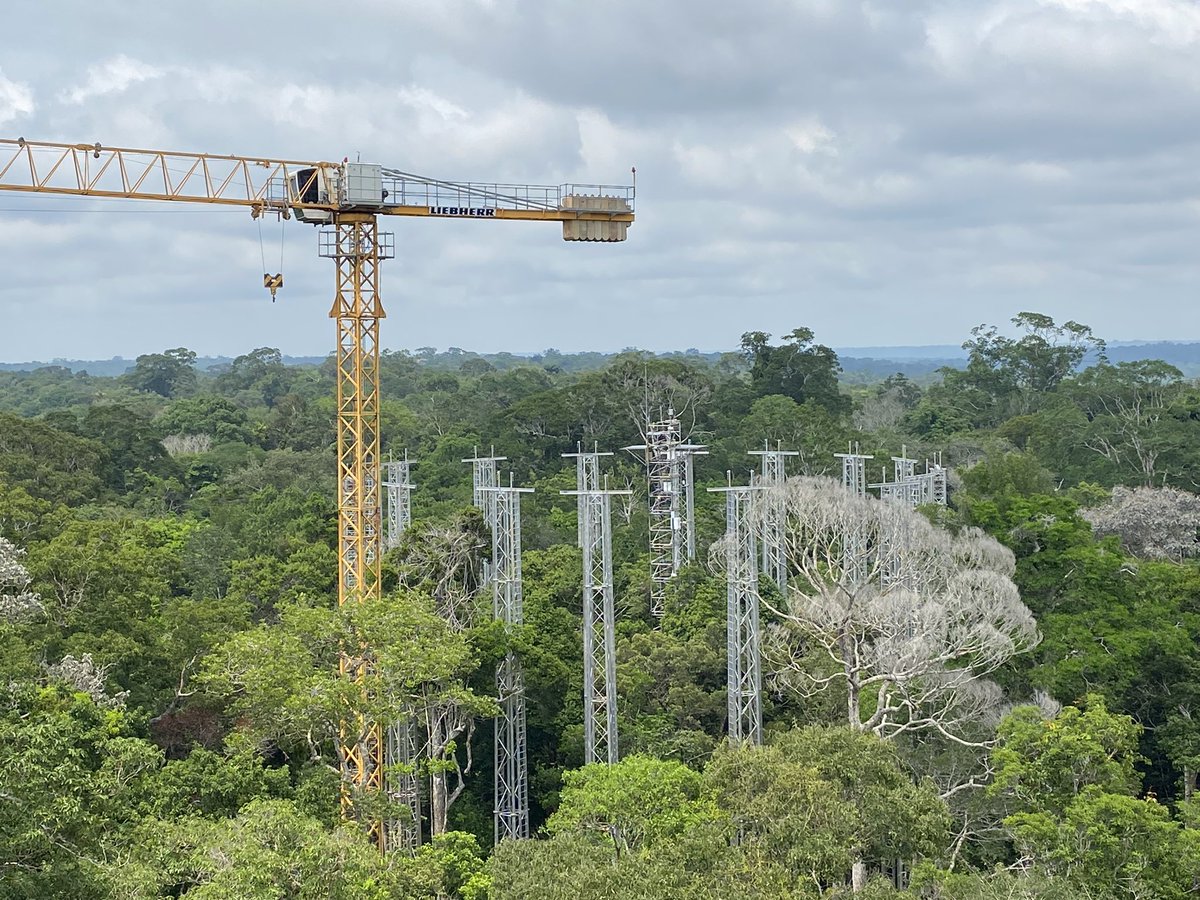 pascalboeckx's tweet image. Excellent opportunity to talk with @Beto Quesada visit #AmazonFace and #INPA. Looking forward to fruitful collaboration with #UGENT and #CongoFlux in the Congo basin.