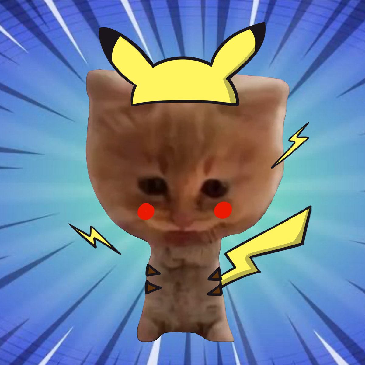 *a wild pumpcat appeared*

#PUMPCAT $PUMPCAT