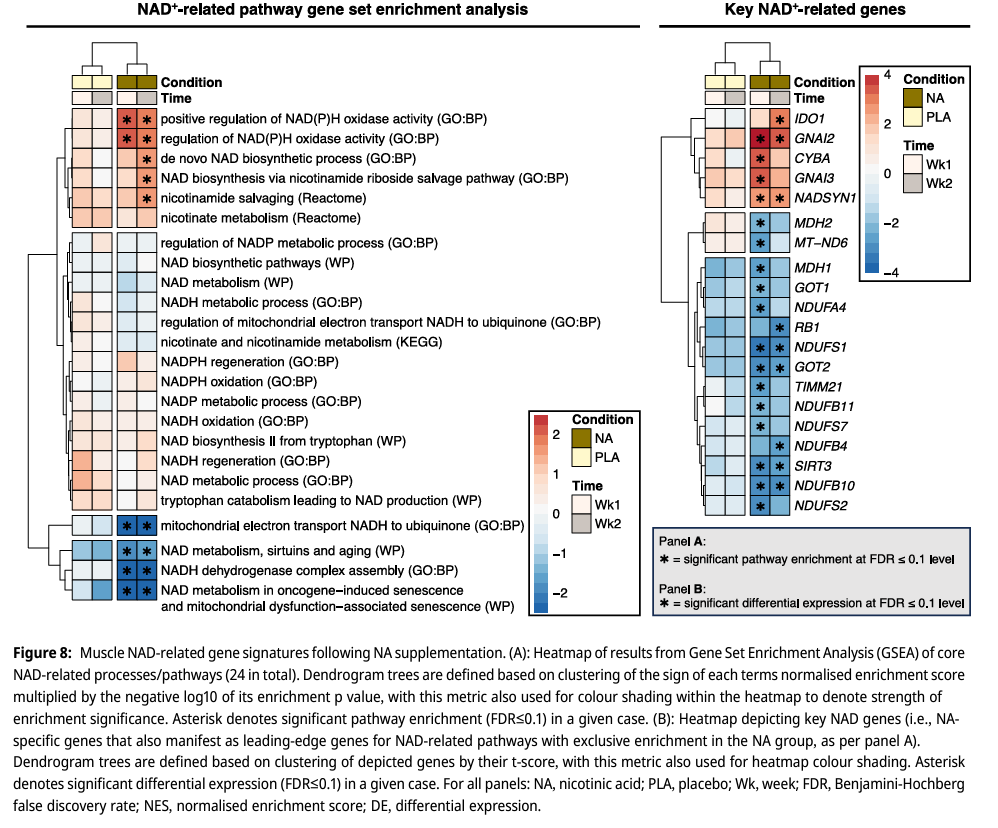 DrMyohead's tweet photo. Nicotinic acid improves mitochondrial function and associated transcriptional pathways in older inactive males

New stuff from @csbd7 @MatthewBrookPhD et al.,

https://t.co/UQVG8MdqGP https://t.co/40ZCOcRrJS