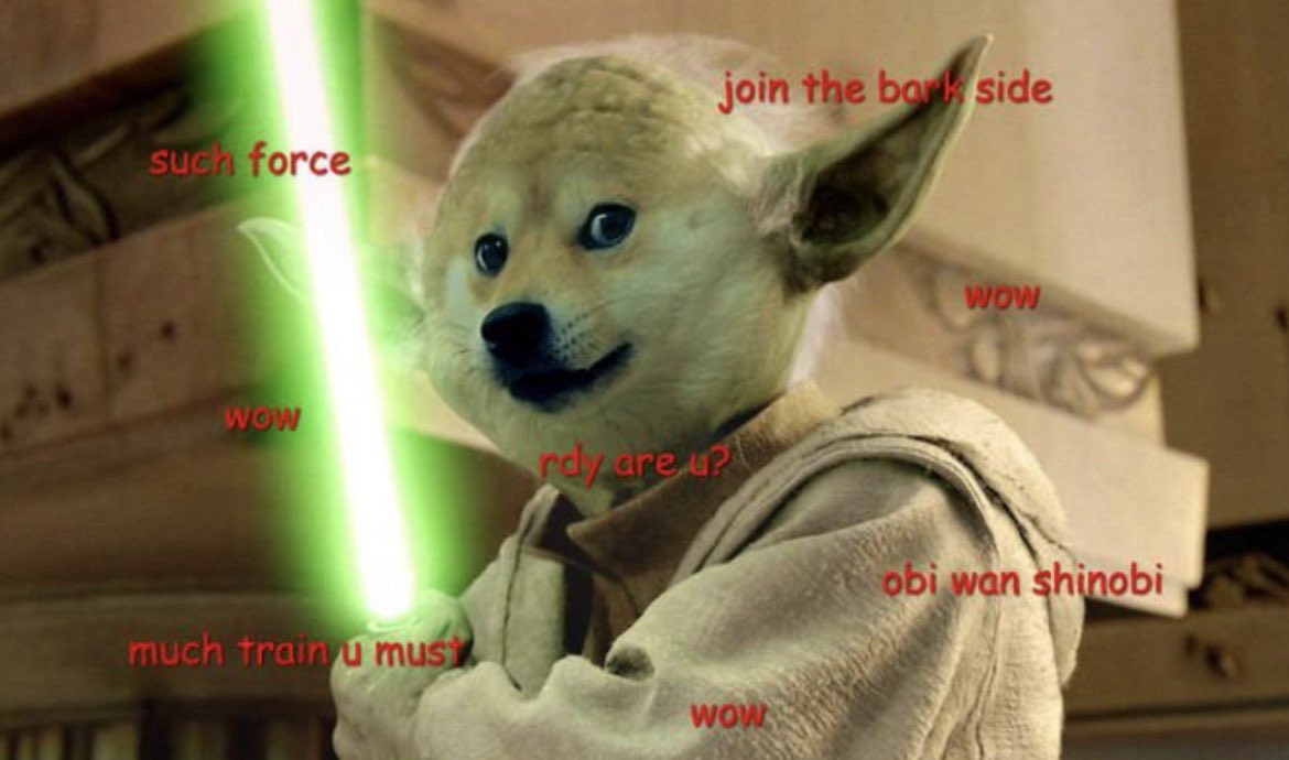 420dogecoin's tweet photo. @Younghogey Go to the moon, we will. https://t.co/WMPNTJULKC