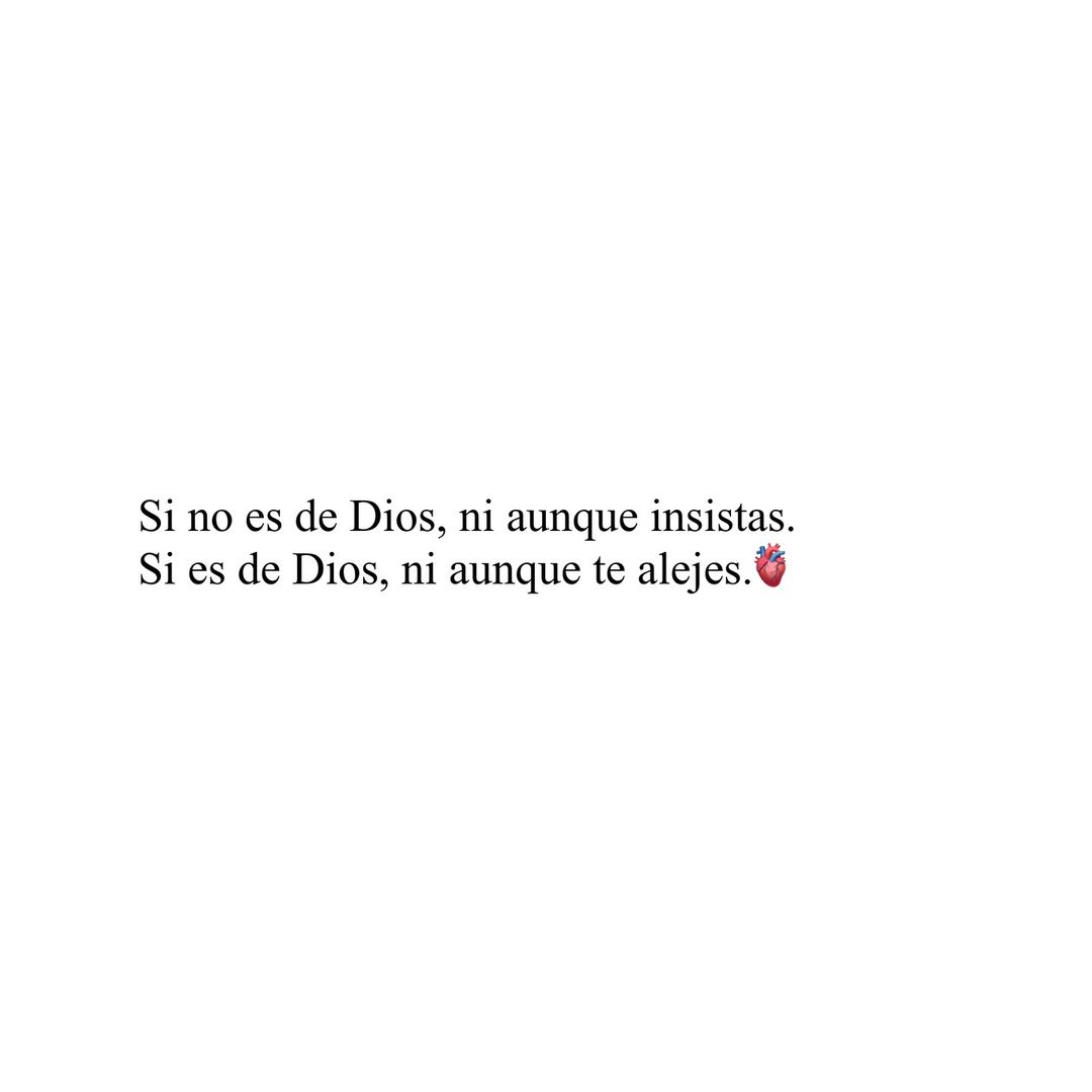 el Siervo (@elsiervo__) on Twitter photo 