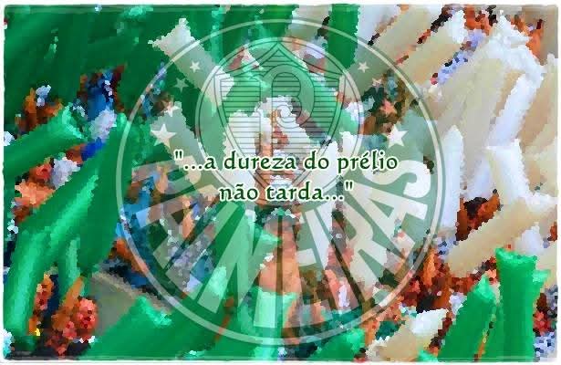 Custódio Dias tweet media