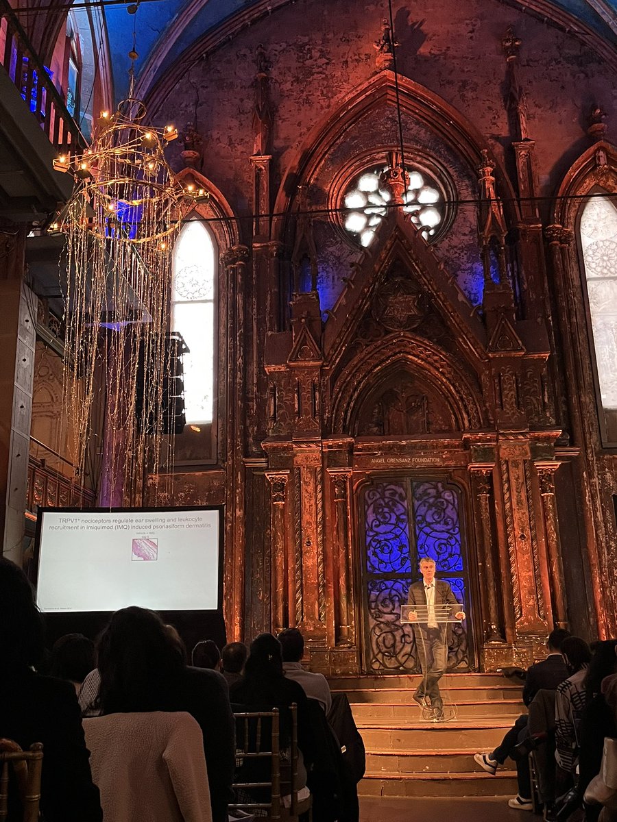 Maximilian Schaefer tweet media