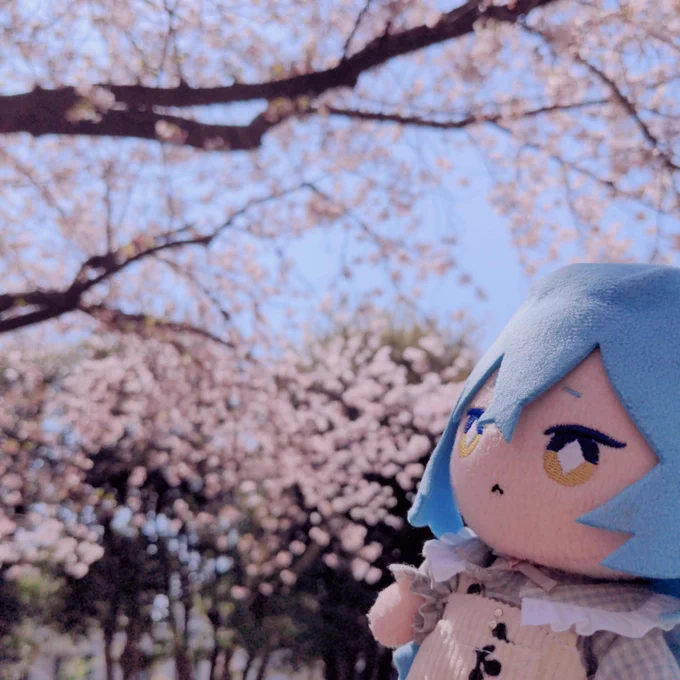 いいタグいでぬともいろんな所に行ったね#ぬいと過ごした春夏秋冬 