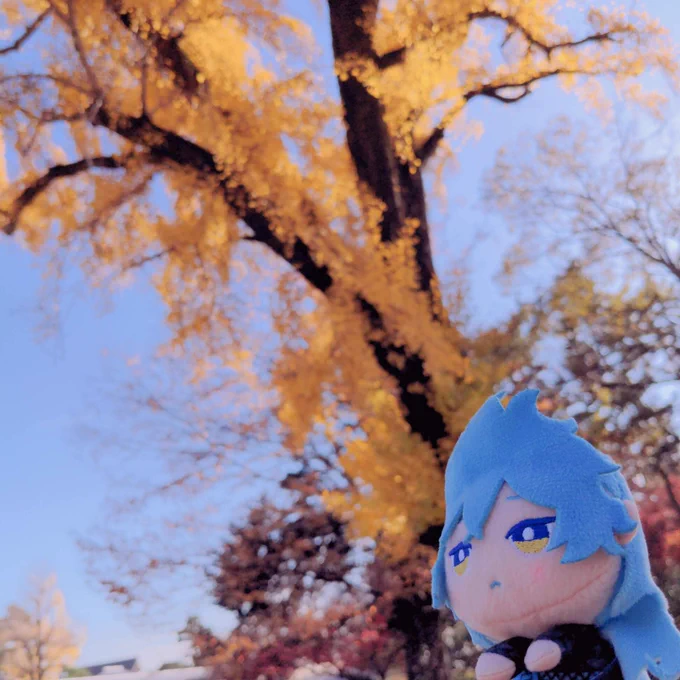 いいタグいでぬともいろんな所に行ったね#ぬいと過ごした春夏秋冬 