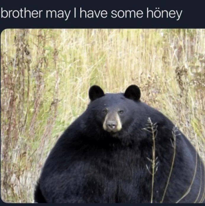 WorkingBear1's tweet photo. @Llamaboy_X https://t.co/D360ArdmLx