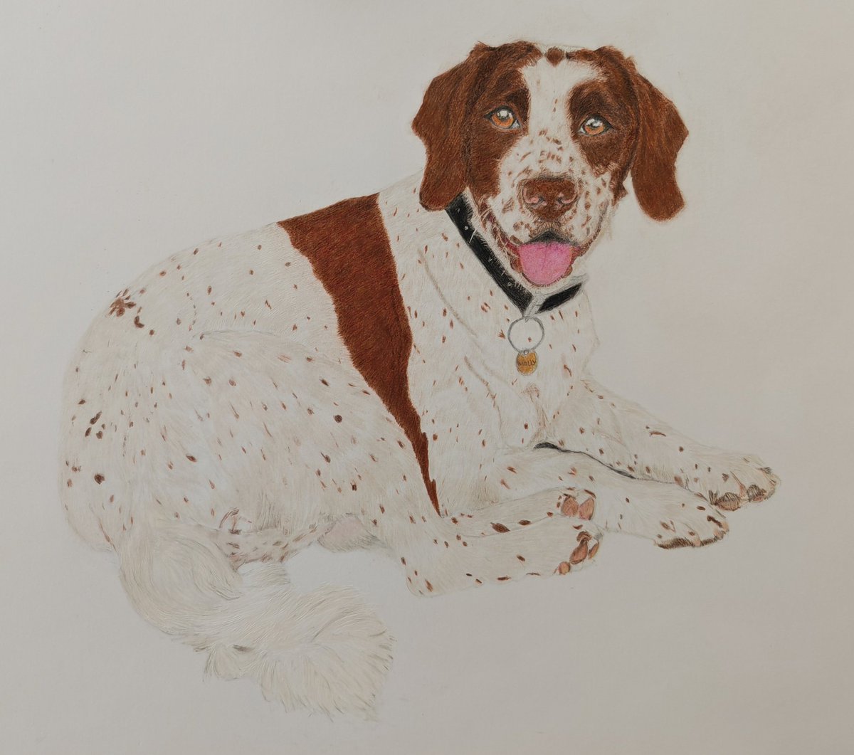 Pals mum finished another Pawtrait n her customer loved it.  Mum drew Molly da springer n den Sasha the Collie X n her their mum wants her to draw Daisy another one of her fur pals.  #dogsofx #dogsoftwitter #dogsarefamily #dogsarelife #ilovemydog #petportraitartist