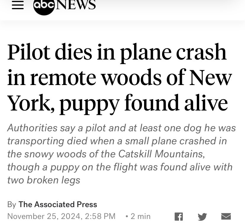 This beautiful soul, Seuk Kim, has passed in a #planecrash , he was flying #dogs for #animalrescue. He also has helped deliver supplies in hard hit hurricane areas of #WNC. Pray for his family. No greater love, he died helping others and trying to save little lives.