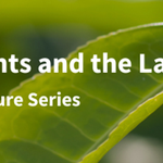Photo by UQ Law School (@UQLaw)