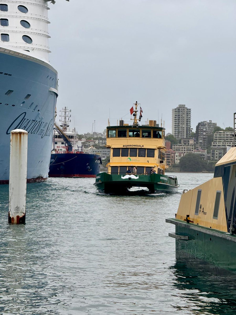 Ever seen a furry ferry? 🤔 The vessels and team at Transdev proud operator of Sydney Ferries have been getting behind Movember, the month which raises awareness and support for issues affecting male mortality in Aus. Learn more: bit.ly/4fZSxLO