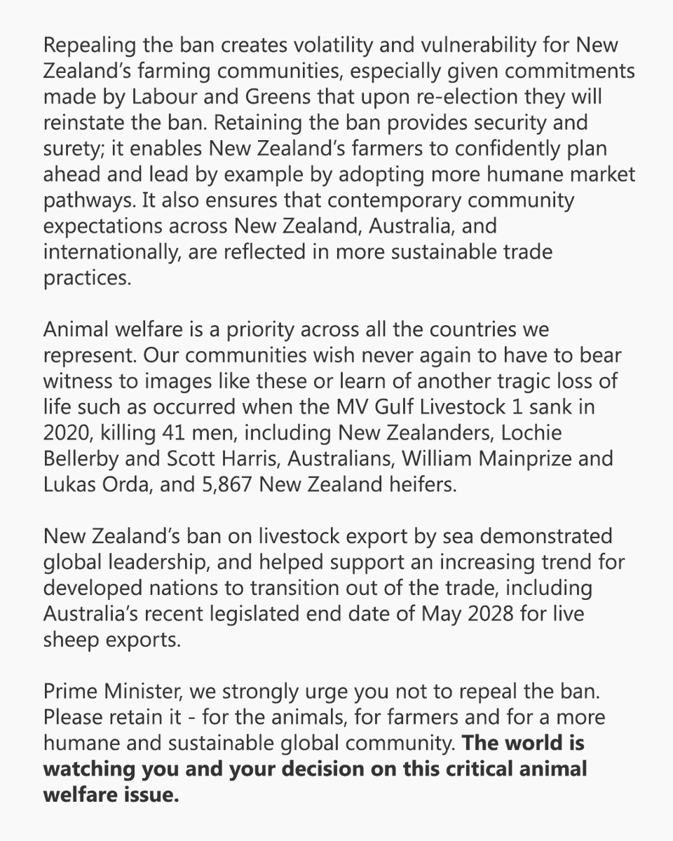 Alliance_AAFA's tweet photo. The Alliance has united 19 leading animal protection organisations from Europe, Australia and New Zealand to urge the New Zealand Prime Minister, Christopher Luxon to maintain his country’s ban on exports of farmed animals by sea.

https://t.co/0OkK6A1Mwy https://t.co/zoJJrsxZfD