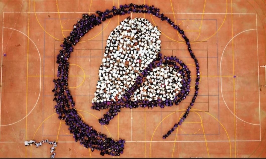 El 25N, conmemoramos el Día Internacional para la Eliminación de la Violencia contra la Mujer en el <a href="/coleseveroochoa/">Colegio Severo Ochoa</a> . 🌟Todo el alumnado ha creado una figura conmemorativa, mostrando nuestro su compromiso y solidaridad en la lucha contra la violencia de género. 💜 #25N