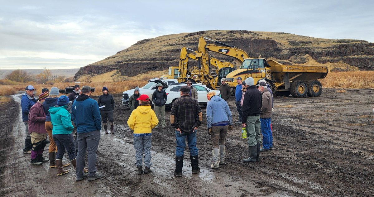 Mainstem Malt tweet media