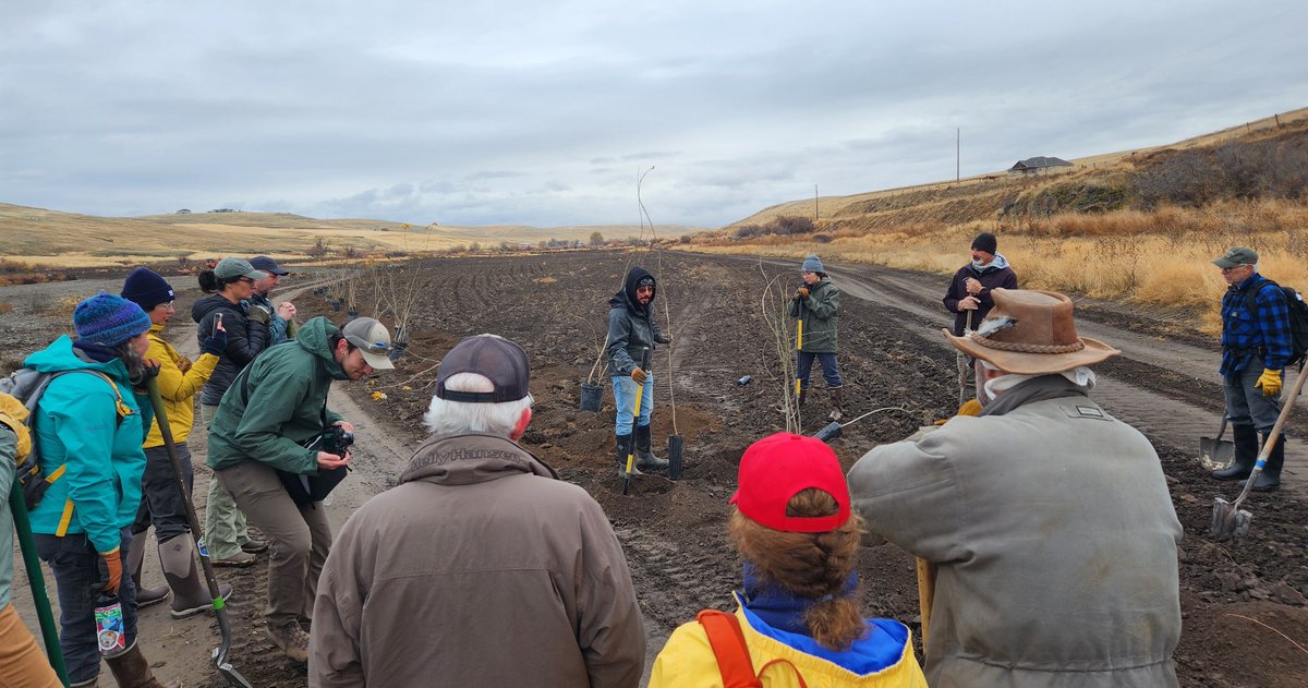 Mainstem Malt tweet media