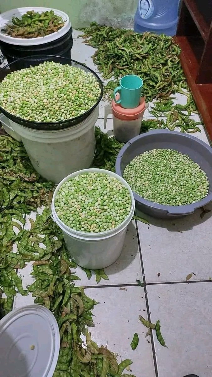 Si m atake w ak pwa sa a kiyès w ap defann ou?