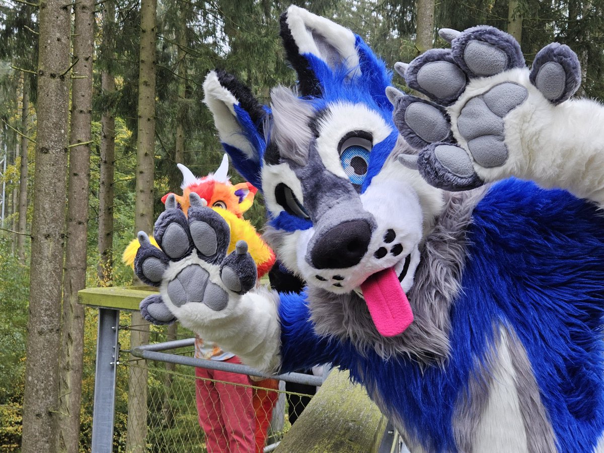 <a href="/drovwer/">Drovwer</a> <a href="/spacealienfox/">furr.club</a> A wild Rangi has appeared
