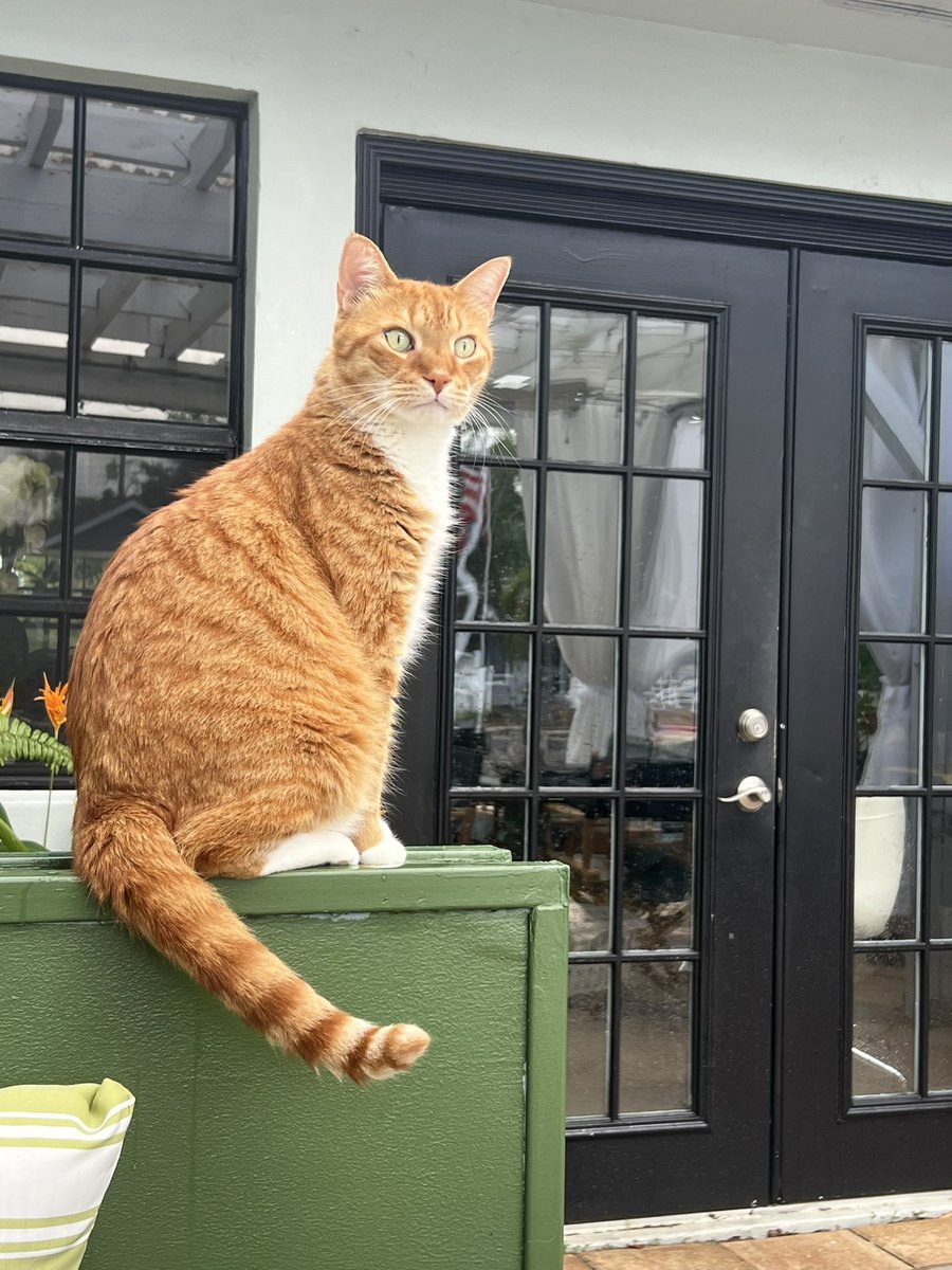 🇵🇷🏴󠁧󠁢󠁳󠁣󠁴󠁿🇺🇦London🏳️‍🌈🇳🇮🧚‍♀️💔🧚‍♂️ tweet media